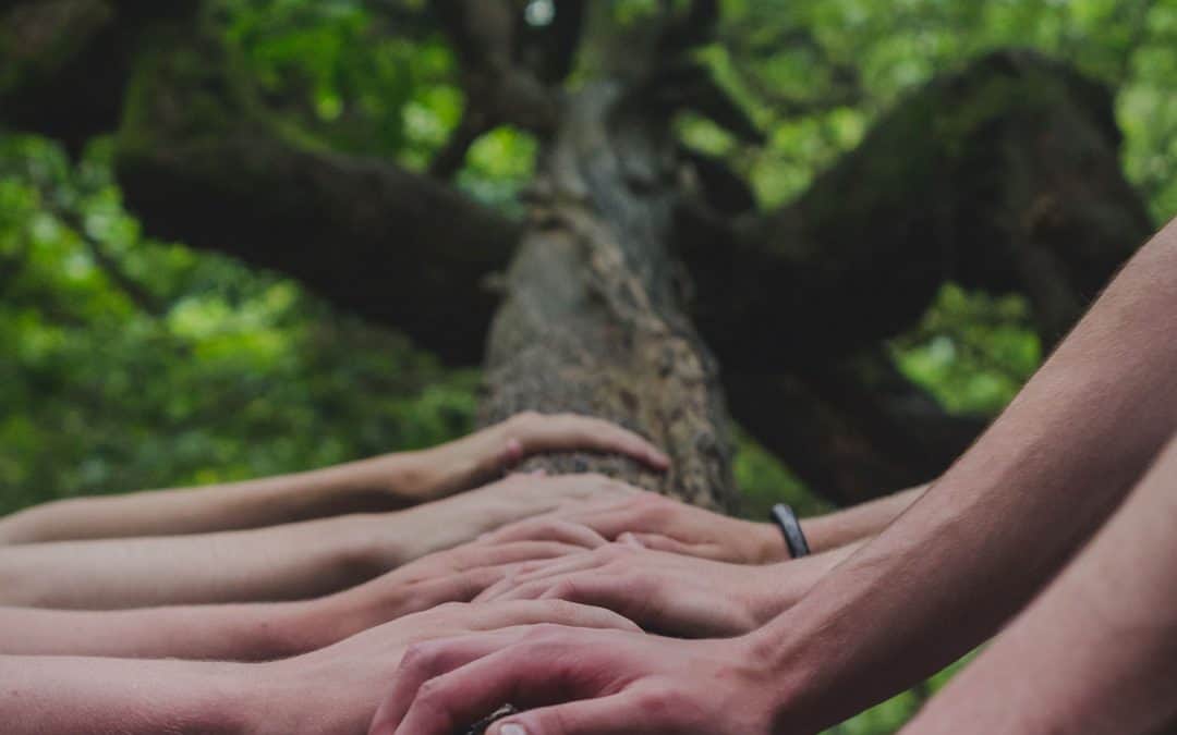 A guide to crowdfunding for community projects